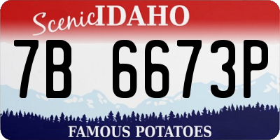 ID license plate 7B6673P