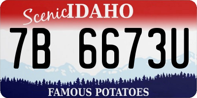 ID license plate 7B6673U