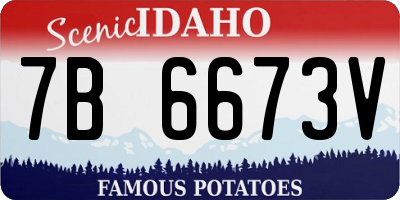 ID license plate 7B6673V