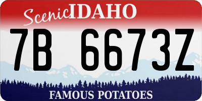 ID license plate 7B6673Z