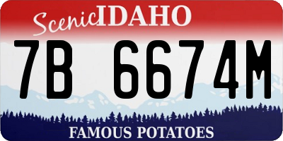 ID license plate 7B6674M