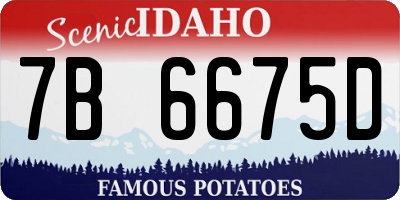 ID license plate 7B6675D