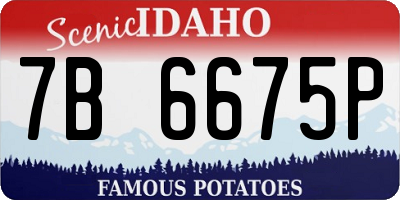ID license plate 7B6675P