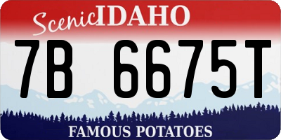 ID license plate 7B6675T