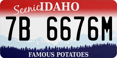 ID license plate 7B6676M
