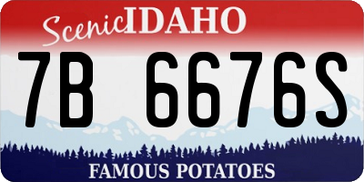 ID license plate 7B6676S