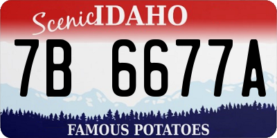 ID license plate 7B6677A