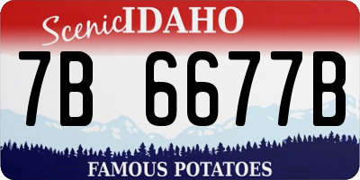 ID license plate 7B6677B