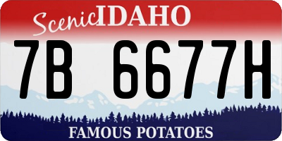 ID license plate 7B6677H