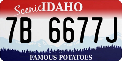 ID license plate 7B6677J