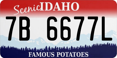 ID license plate 7B6677L