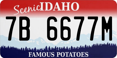 ID license plate 7B6677M