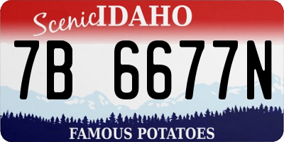 ID license plate 7B6677N