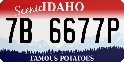 ID license plate 7B6677P