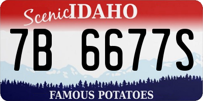 ID license plate 7B6677S