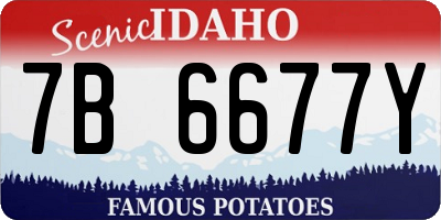 ID license plate 7B6677Y