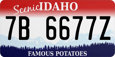ID license plate 7B6677Z
