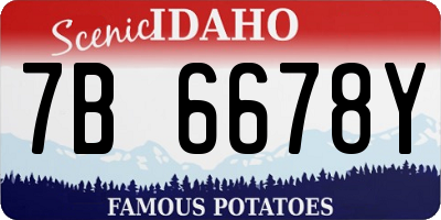 ID license plate 7B6678Y