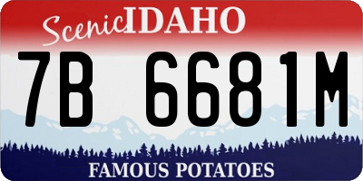 ID license plate 7B6681M