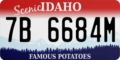 ID license plate 7B6684M