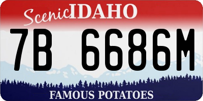 ID license plate 7B6686M