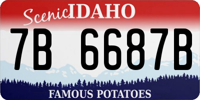 ID license plate 7B6687B