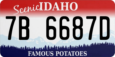 ID license plate 7B6687D