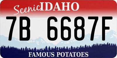 ID license plate 7B6687F