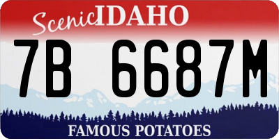ID license plate 7B6687M