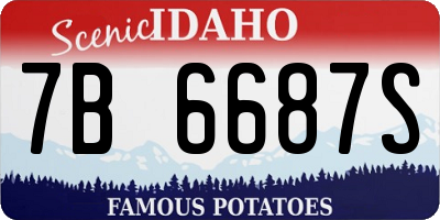ID license plate 7B6687S