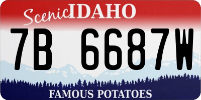 ID license plate 7B6687W