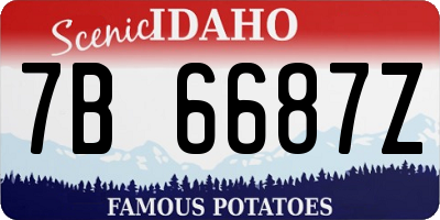 ID license plate 7B6687Z