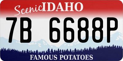 ID license plate 7B6688P