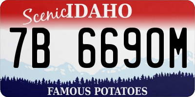 ID license plate 7B6690M