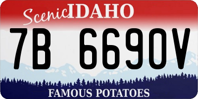 ID license plate 7B6690V