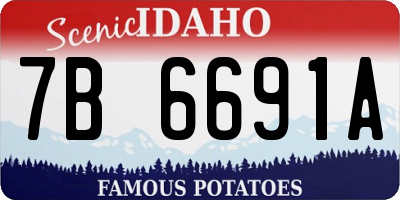 ID license plate 7B6691A