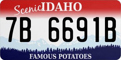 ID license plate 7B6691B