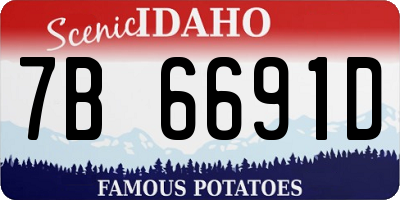 ID license plate 7B6691D