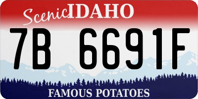 ID license plate 7B6691F