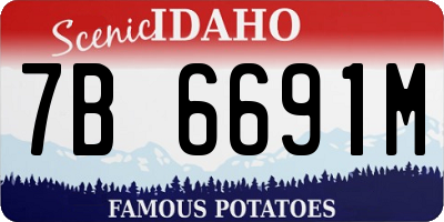 ID license plate 7B6691M
