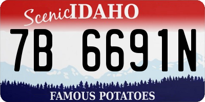 ID license plate 7B6691N