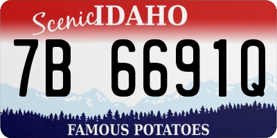 ID license plate 7B6691Q