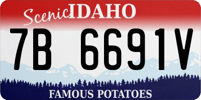 ID license plate 7B6691V