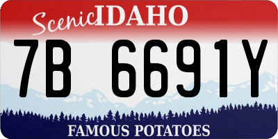 ID license plate 7B6691Y