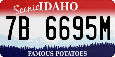 ID license plate 7B6695M