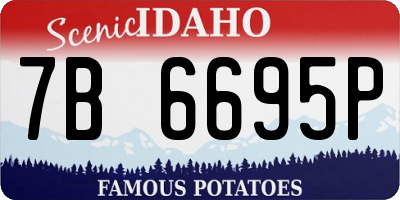 ID license plate 7B6695P