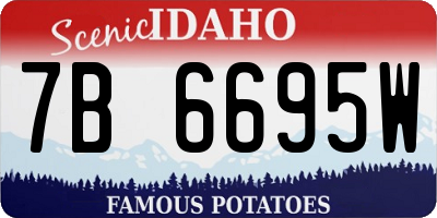ID license plate 7B6695W