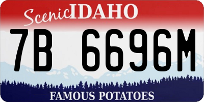 ID license plate 7B6696M