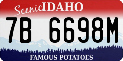ID license plate 7B6698M