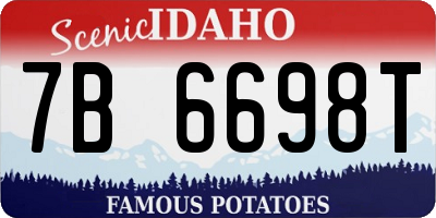 ID license plate 7B6698T